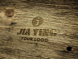 logo样机