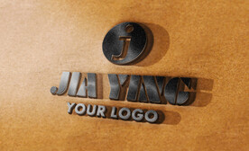 logo样机