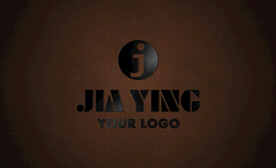 logo样机