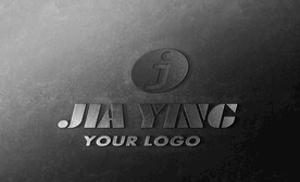 logo样机