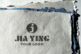 logo样机