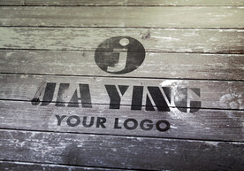 logo样机