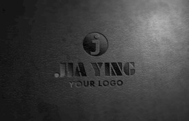 logo样机