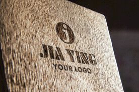 logo样机