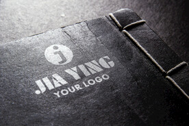 logo样机