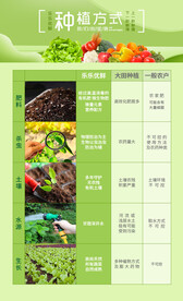 绿色大棚种植方式海报