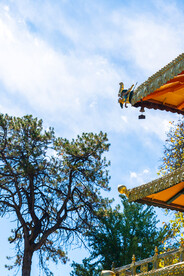 西藏拉萨罗布林卡康松司伦屋檐