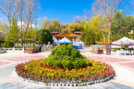 西藏拉萨罗布林卡门前花坛