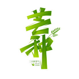 芒种二十四节气字体设计