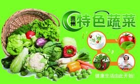贵州特色蔬菜吊牌