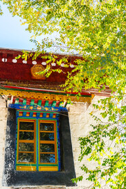 西藏拉萨罗布林卡窗与树