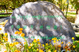 西藏拉萨罗布林卡欢迎石