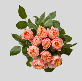 玫瑰花