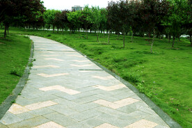 公园路绿草地