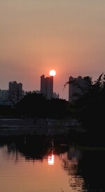 夕阳