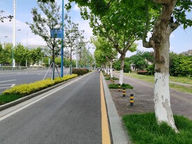 苏州夏天路边风景