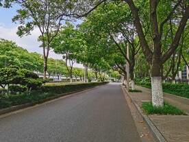苏州夏天路边风景