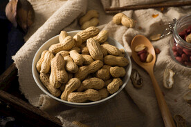 暗调花生食材零食