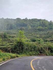 泥巴坨森林公园 
