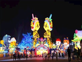 自贡灯展 