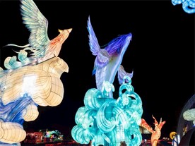  自贡灯展