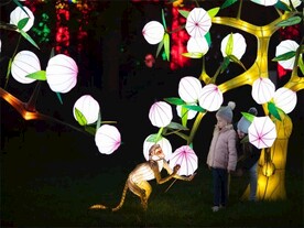  自贡灯展