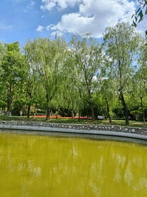 湖水