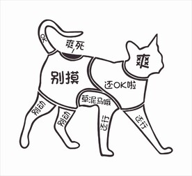 网红猫咖舍撸猫部位图墙贴