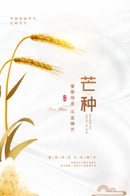 芒种海报