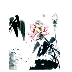 荷花