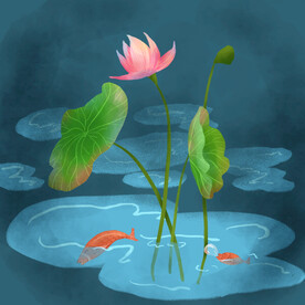 荷花