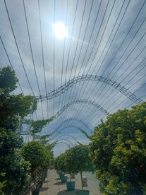 正午太阳