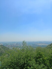 蓝天山树
