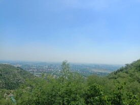 蓝天树木山