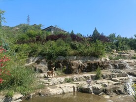 山水背景
