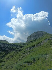 云上山