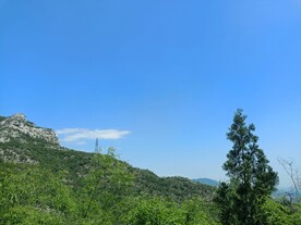天空松树山