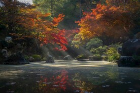 池塘湖岸风光摄影