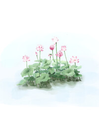 荷花水彩插画