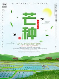 芒种海报