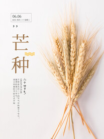 芒种海报