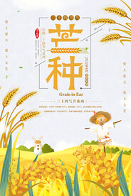 芒种海报