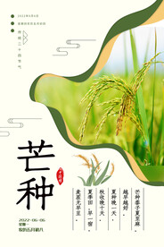 芒种海报