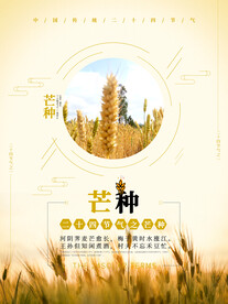 芒种海报