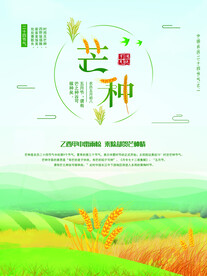 芒种海报