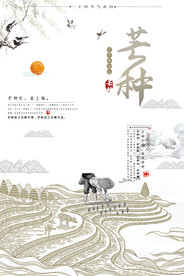 芒种海报