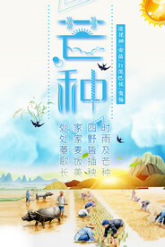 芒种海报