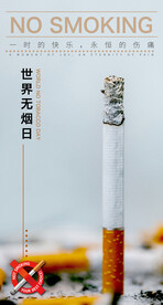 世界无颜色海报