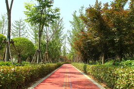 公园