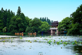 西湖风景